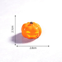 Solid-Grey-Terrier Pumpkin