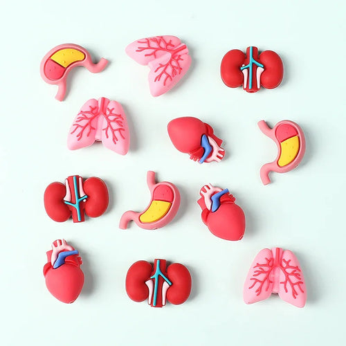 Medical Care Science and Education 3D Silicone Beads Cartoon Organ Model Three-dimensional Silicone Focal Beads