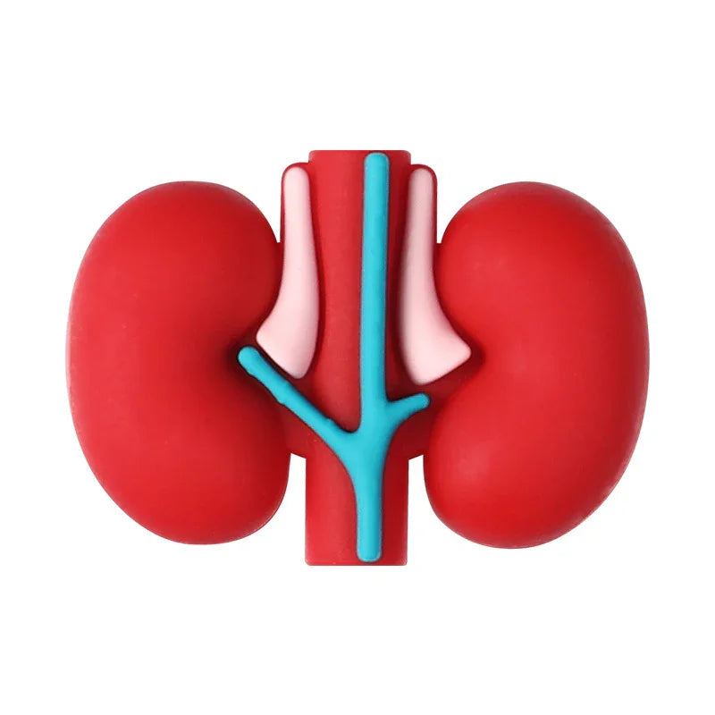 Medical Care Science and Education 3D Silicone Beads Cartoon Organ Model Three-dimensional Silicone Focal Beads