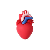 3D heart.