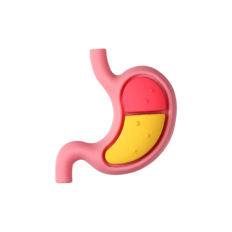 Medical Care Science and Education 3D Silicone Beads Cartoon Organ Model Three-dimensional Silicone Focal Beads
