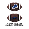 3D Detroit Lions