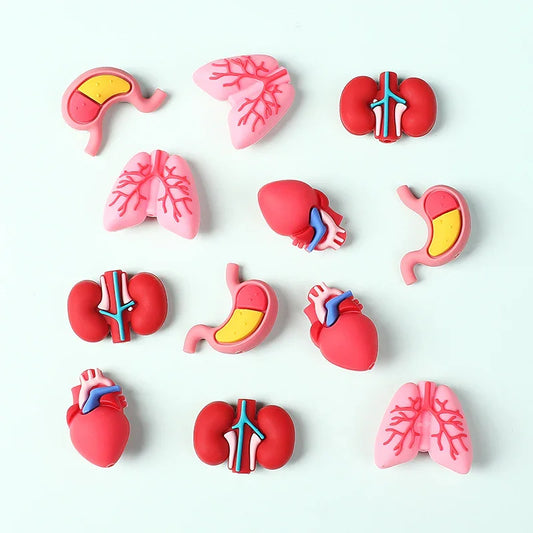 Medical Care Science and Education 3D Silicone Beads Cartoon Organ Model Three-dimensional Silicone Focal Beads
