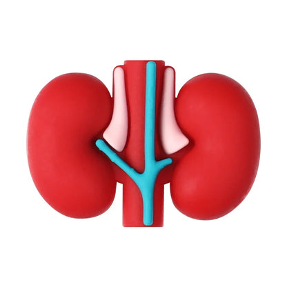 Medical Care Science and Education 3D Silicone Beads Cartoon Organ Model Three-dimensional Silicone Focal Beads