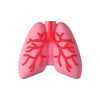 3D lung