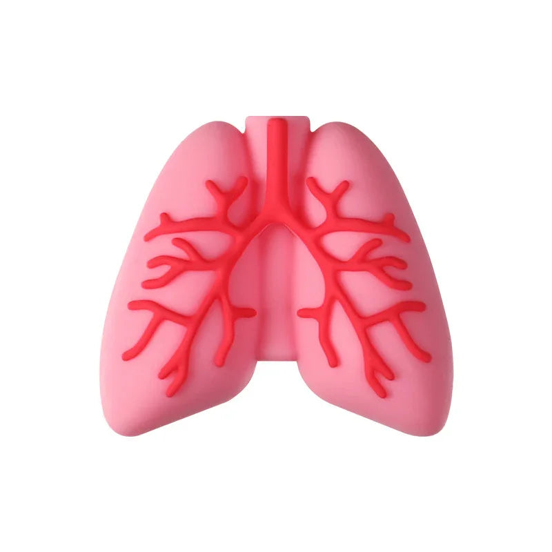 Medical Care Science and Education 3D Silicone Beads Cartoon Organ Model Three-dimensional Silicone Focal Beads - Beadable Cat