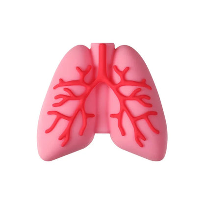 Medical Care Science and Education 3D Silicone Beads Cartoon Organ Model Three-dimensional Silicone Focal Beads