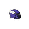 Minnesota Vikings