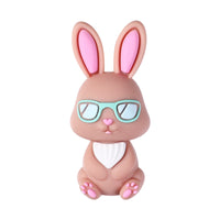 The 3D Rabbit