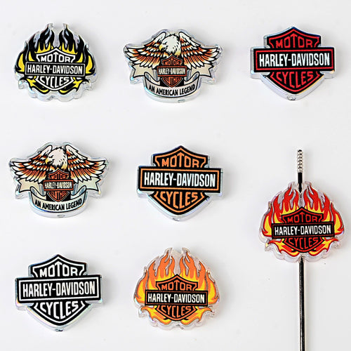 Biker Motorcycle Logo Acrylic Focal Beads, Flame & Eagle Large Hole Loose Beads for Beadable Pens, Keychains & DIY Jewelry Making