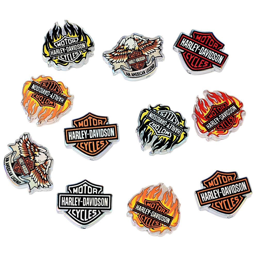 Biker Motorcycle Logo Acrylic Focal Beads, Flame & Eagle Large Hole Loose Beads for Beadable Pens, Keychains & DIY Jewelry Making