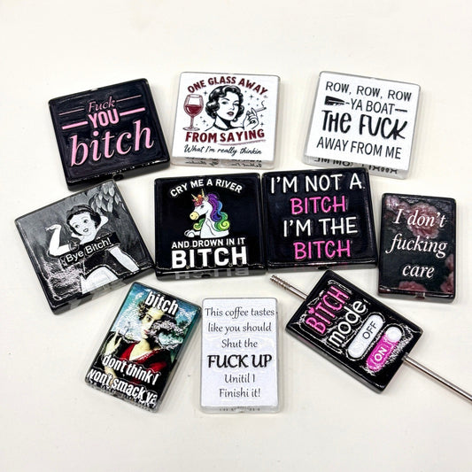 Snarky Sarcastic Quote Acrylic Focal Beads, Funny Adult Humor & Bad Attitude Beads for DIY Beadable Pens & Keychains