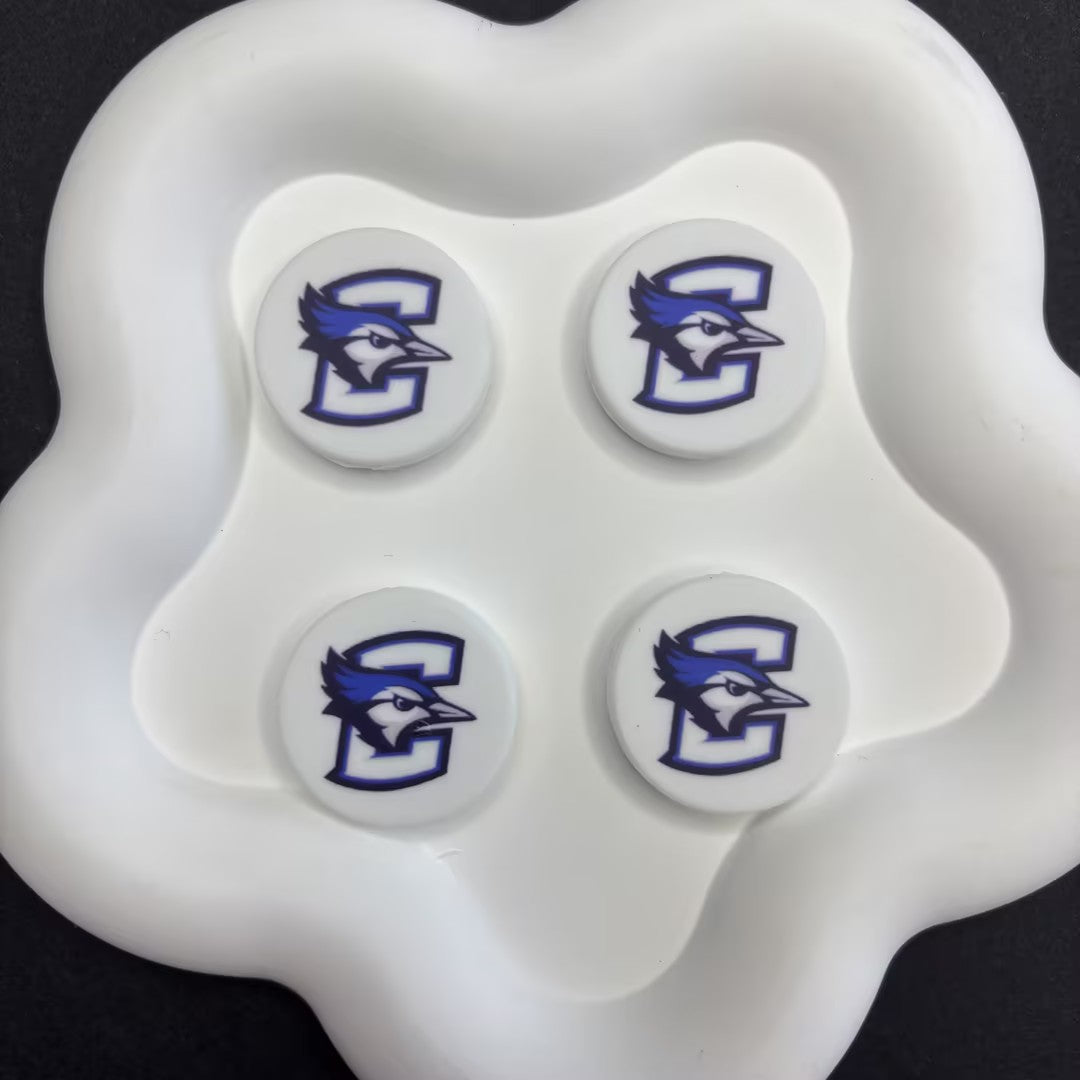 NCAA Team Logo Silicone Focal Beads - Collegiate Series for DIY Beadable | DIY Sports Fan Bracelet & Keychain Craft Bead