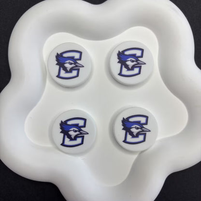 NCAA Team Logo Silicone Focal Beads - Collegiate Series for DIY Beadable | DIY Sports Fan Bracelet & Keychain Craft Bead