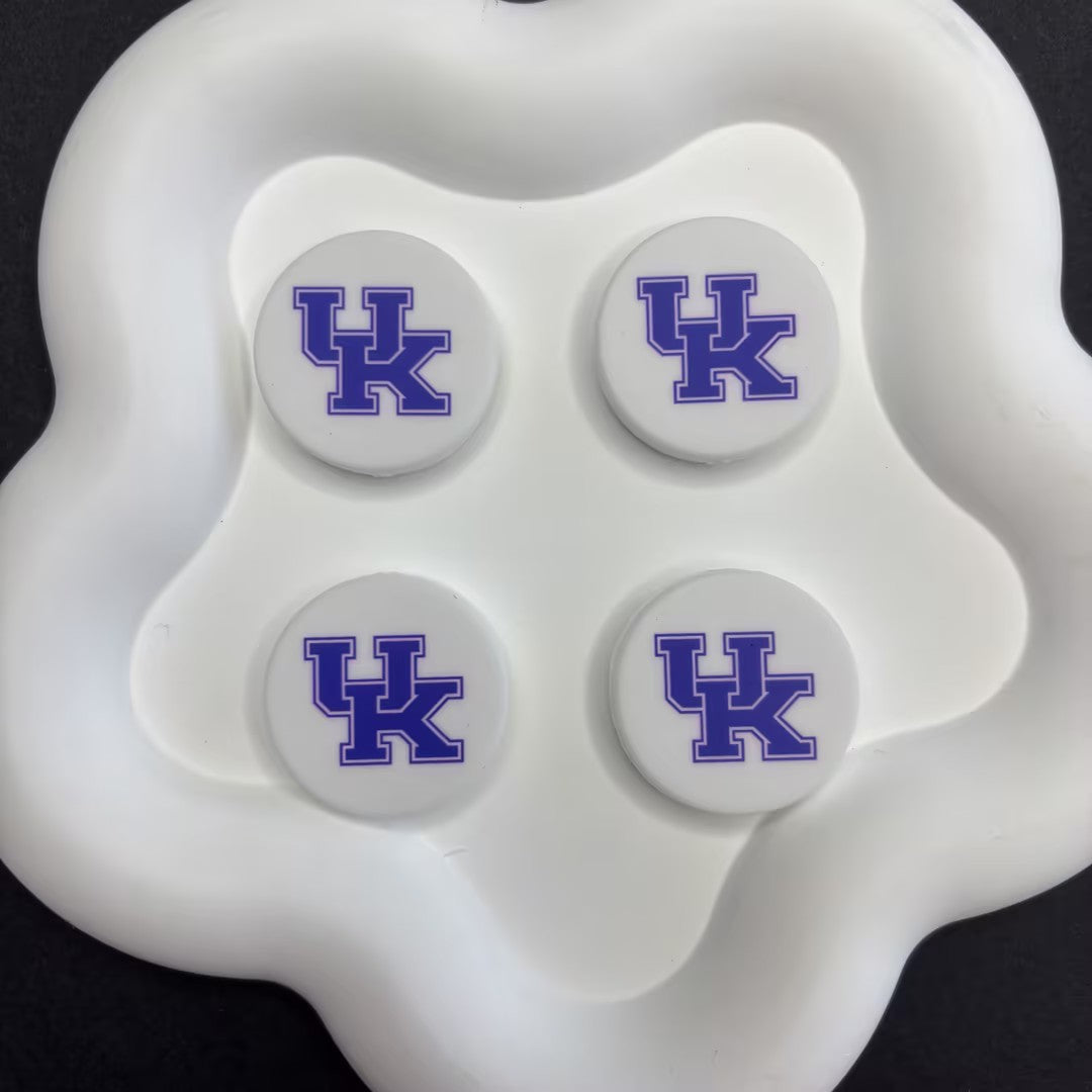 NCAA Team Logo Silicone Focal Beads - Collegiate Series for DIY Beadable | DIY Sports Fan Bracelet & Keychain Craft Bead